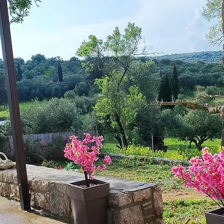 Vaki's Pylos
